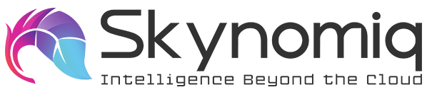 skynomiq.ai Logo